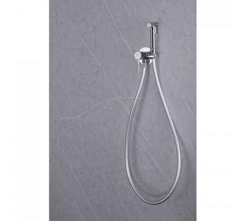 Смеситель ABBER Wasser Kreis AF8125 с гигиеническим душем, хром